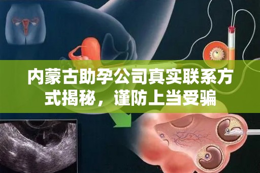 内蒙古助孕公司真实联系方式揭秘，谨防上当受骗