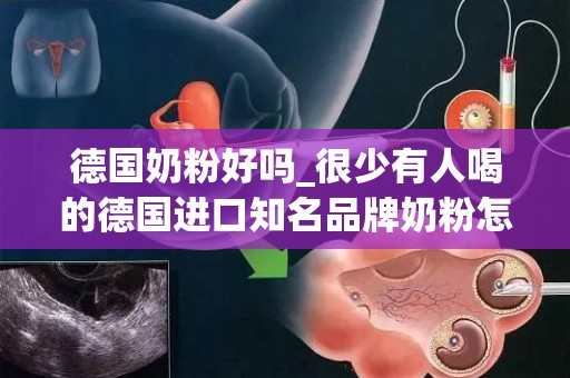 德国奶粉好吗_很少有人喝的德国进口知名品牌奶粉怎么样？适合中国试管宝宝吗？