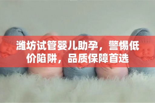 潍坊试管婴儿助孕，警惕低价陷阱，品质保障首选