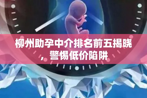 柳州助孕中介排名前五揭晓，警惕低价陷阱