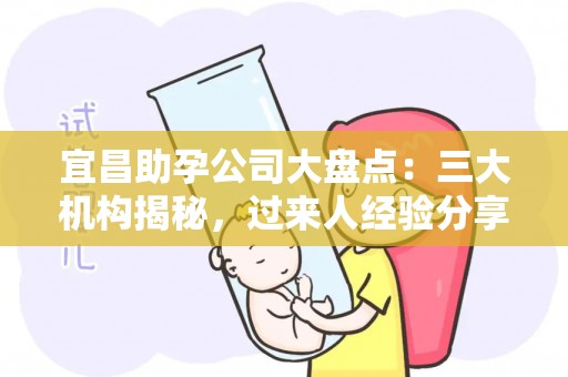 宜昌助孕公司大盘点：三大机构揭秘，过来人经验分享