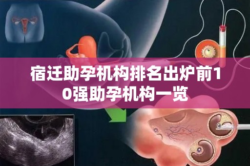 宿迁助孕机构排名出炉前10强助孕机构一览