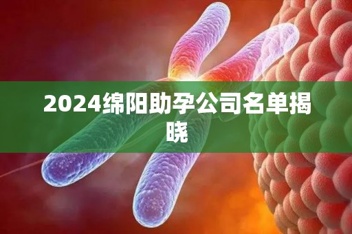 2024绵阳助孕公司名单揭晓