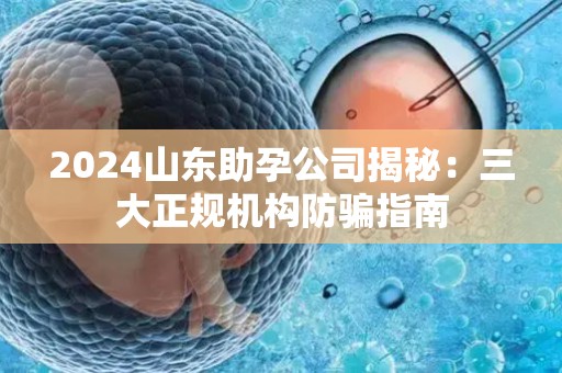 2024山东助孕公司揭秘：三大正规机构防骗指南