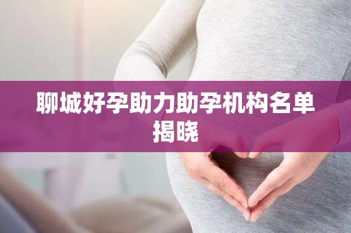 聊城好孕助力助孕机构名单揭晓