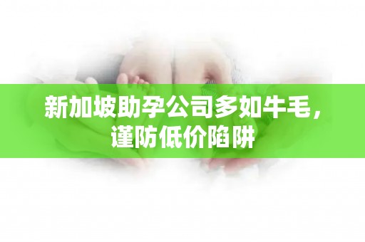新加坡助孕公司多如牛毛，谨防低价陷阱