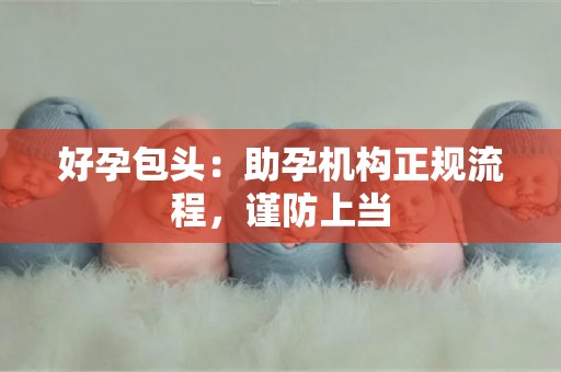 好孕包头：助孕机构正规流程，谨防上当