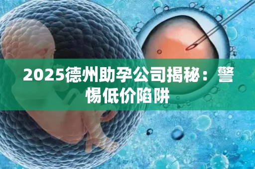 2025德州助孕公司揭秘：警惕低价陷阱