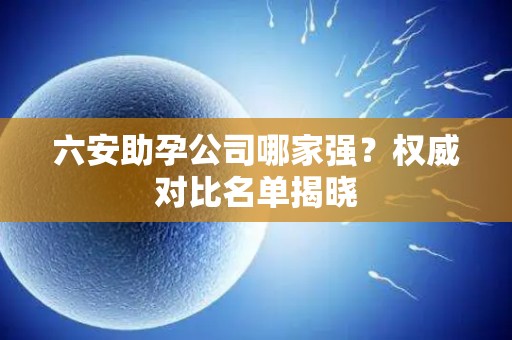 六安助孕公司哪家强？权威对比名单揭晓