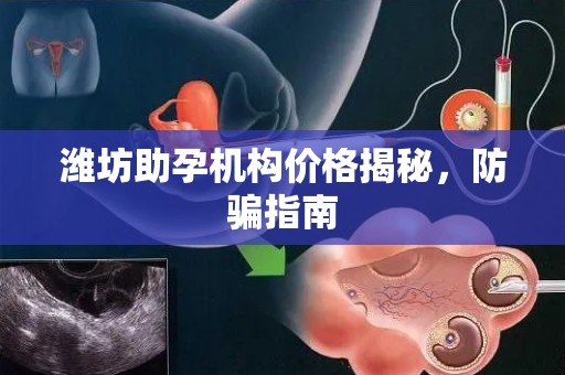 潍坊助孕机构价格揭秘，防骗指南