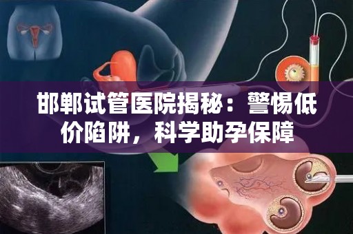 邯郸试管医院揭秘：警惕低价陷阱，科学助孕保障