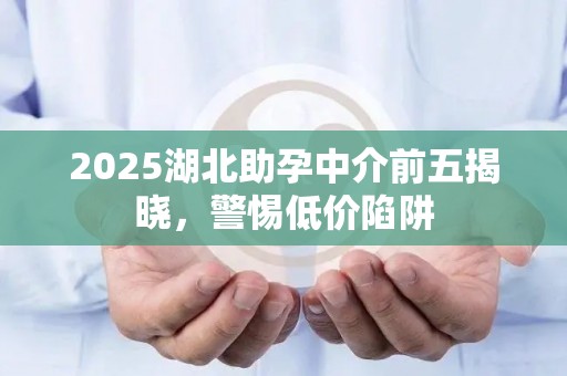 2025湖北助孕中介前五揭晓，警惕低价陷阱