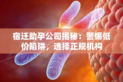 宿迁助孕公司揭秘：警惕低价陷阱，选择正规机构