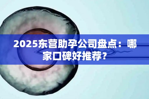 2025东营助孕公司盘点：哪家口碑好推荐？