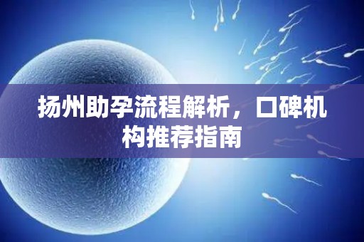 扬州助孕流程解析，口碑机构推荐指南