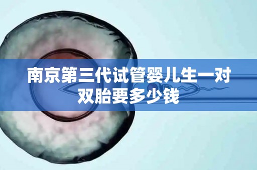 南京第三代试管婴儿生一对双胎要多少钱