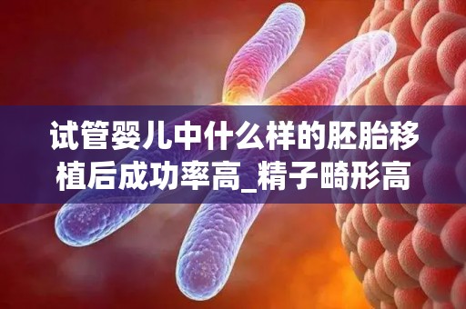 试管婴儿中什么样的胚胎移植后成功率高_精子畸形高能做试管吗