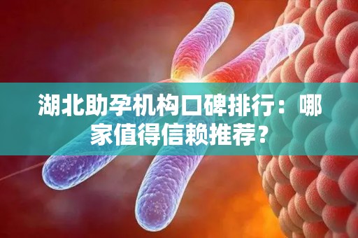 湖北助孕机构口碑排行：哪家值得信赖推荐？