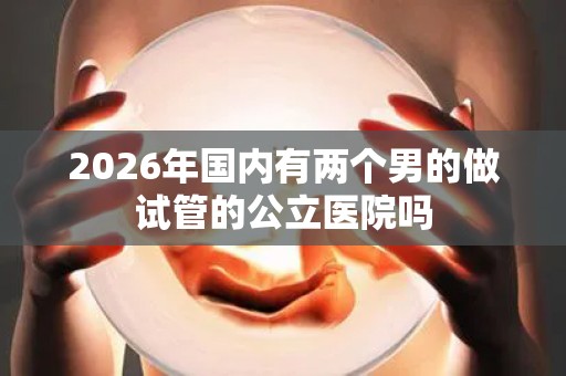 2026年国内有两个男的做试管的公立医院吗