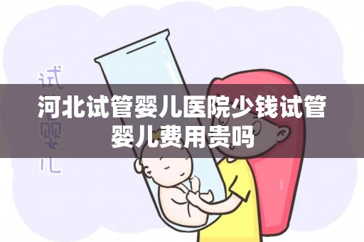 河北试管婴儿医院少钱试管婴儿费用贵吗