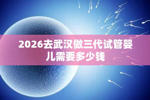 2026去武汉做三代试管婴儿需要多少钱
