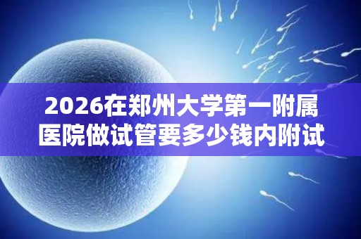 2026在郑州大学第一附属医院做试管要多少钱内附试管分享经验