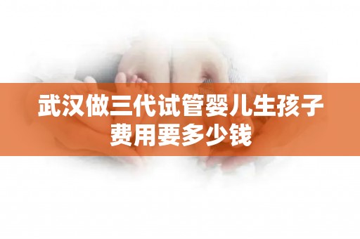 武汉做三代试管婴儿生孩子费用要多少钱