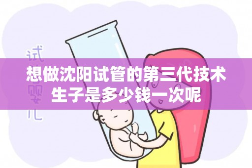 想做沈阳试管的第三代技术生子是多少钱一次呢