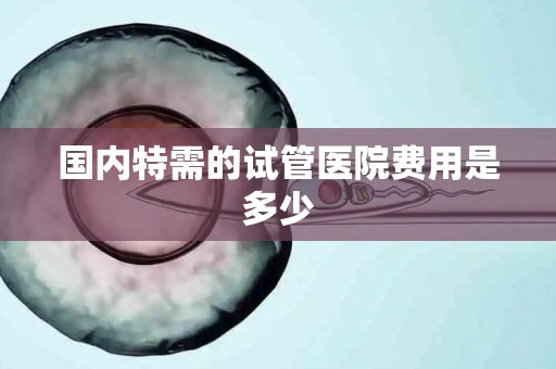 国内特需的试管医院费用是多少
