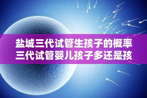 盐城三代试管生孩子的概率三代试管婴儿孩子多还是孩子多