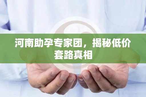 河南助孕专家团，揭秘低价套路真相
