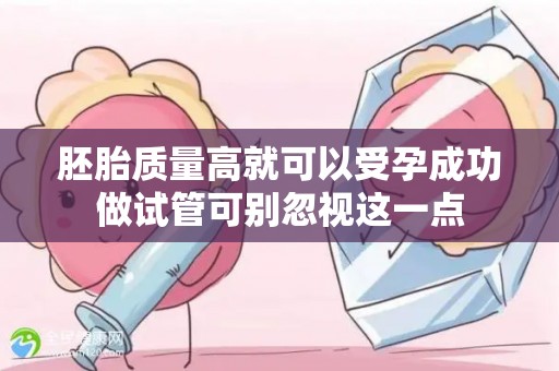 胚胎质量高就可以受孕成功做试管可别忽视这一点