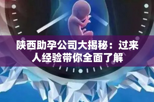 陕西助孕公司大揭秘：过来人经验带你全面了解