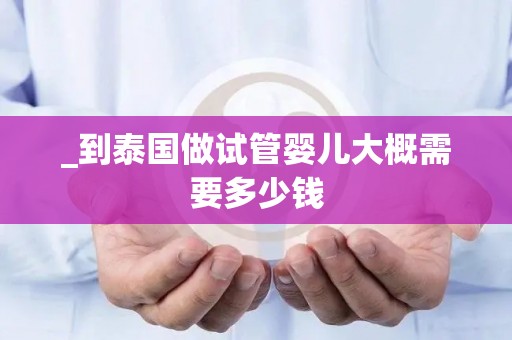 _到泰国做试管婴儿大概需要多少钱