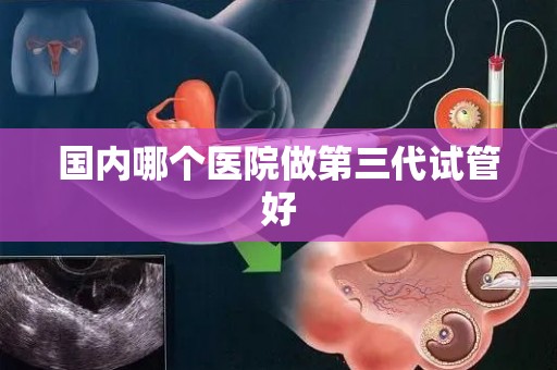 国内哪个医院做第三代试管好