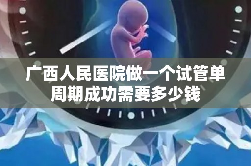 广西人民医院做一个试管单周期成功需要多少钱