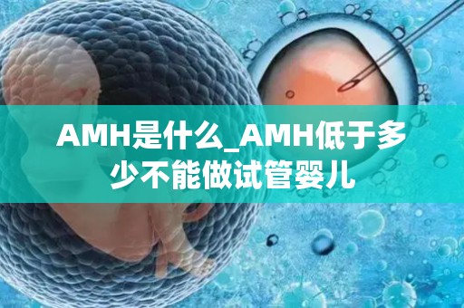 AMH是什么_AMH低于多少不能做试管婴儿