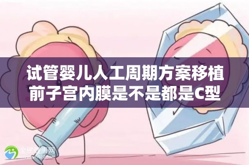 试管婴儿人工周期方案移植前子宫内膜是不是都是C型