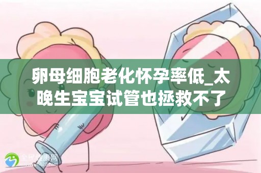 卵母细胞老化怀孕率低_太晚生宝宝试管也拯救不了