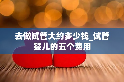 去做试管大约多少钱_试管婴儿的五个费用
