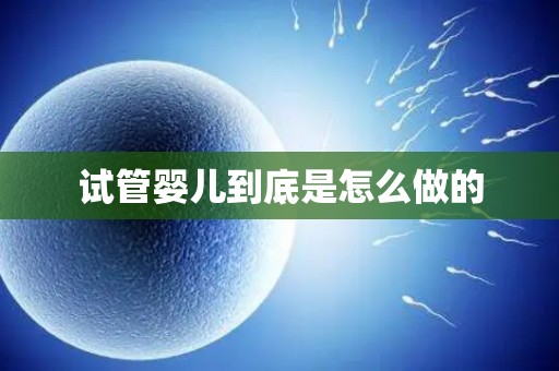 试管婴儿到底是怎么做的