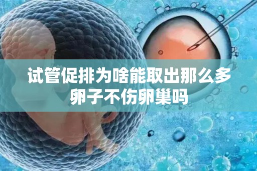 试管促排为啥能取出那么多卵子不伤卵巢吗
