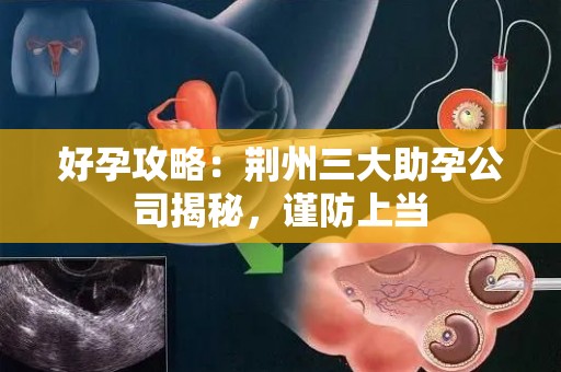 好孕攻略：荆州三大助孕公司揭秘，谨防上当