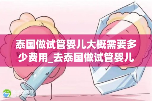 泰国做试管婴儿大概需要多少费用_去泰国做试管婴儿可靠吗!