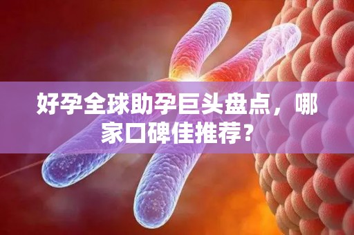 好孕全球助孕巨头盘点，哪家口碑佳推荐？