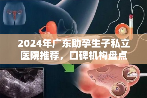 2024年广东助孕生子私立医院推荐，口碑机构盘点
