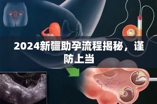 2024新疆助孕流程揭秘，谨防上当