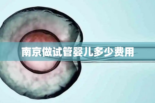 南京做试管婴儿多少费用
