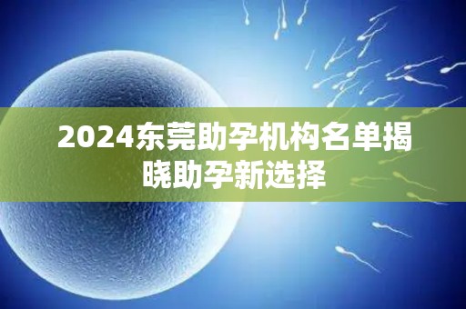 2024东莞助孕机构名单揭晓助孕新选择