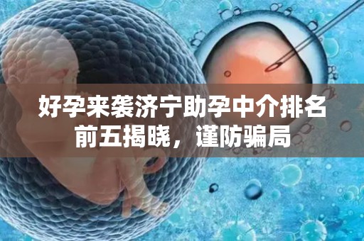 好孕来袭济宁助孕中介排名前五揭晓，谨防骗局